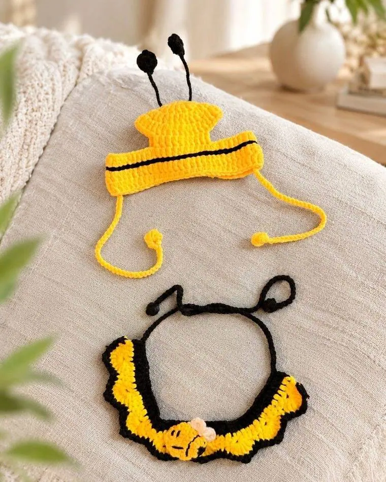 Ensemble Abeille porté par un chat