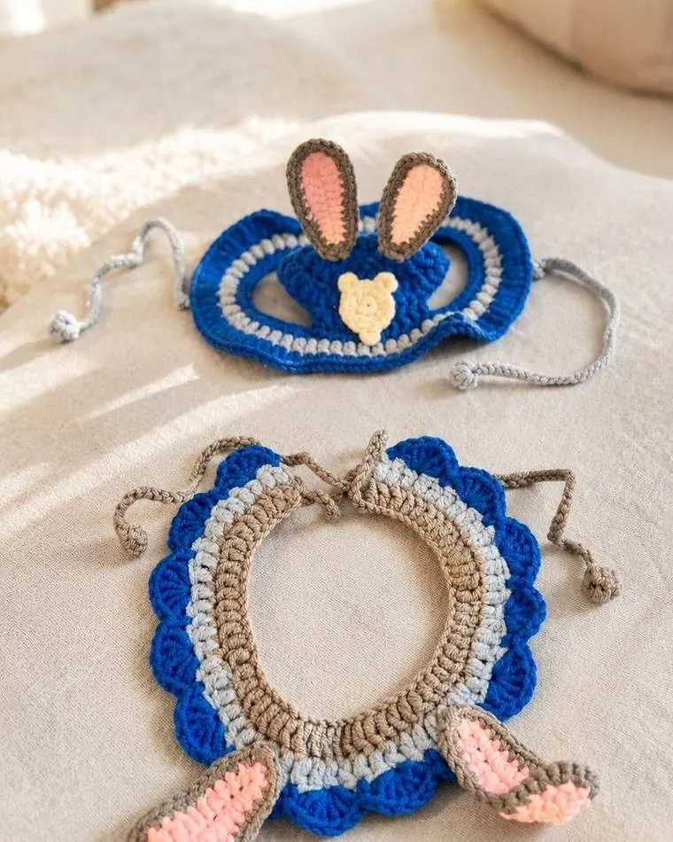 Ensemble Lapin porté par un chat